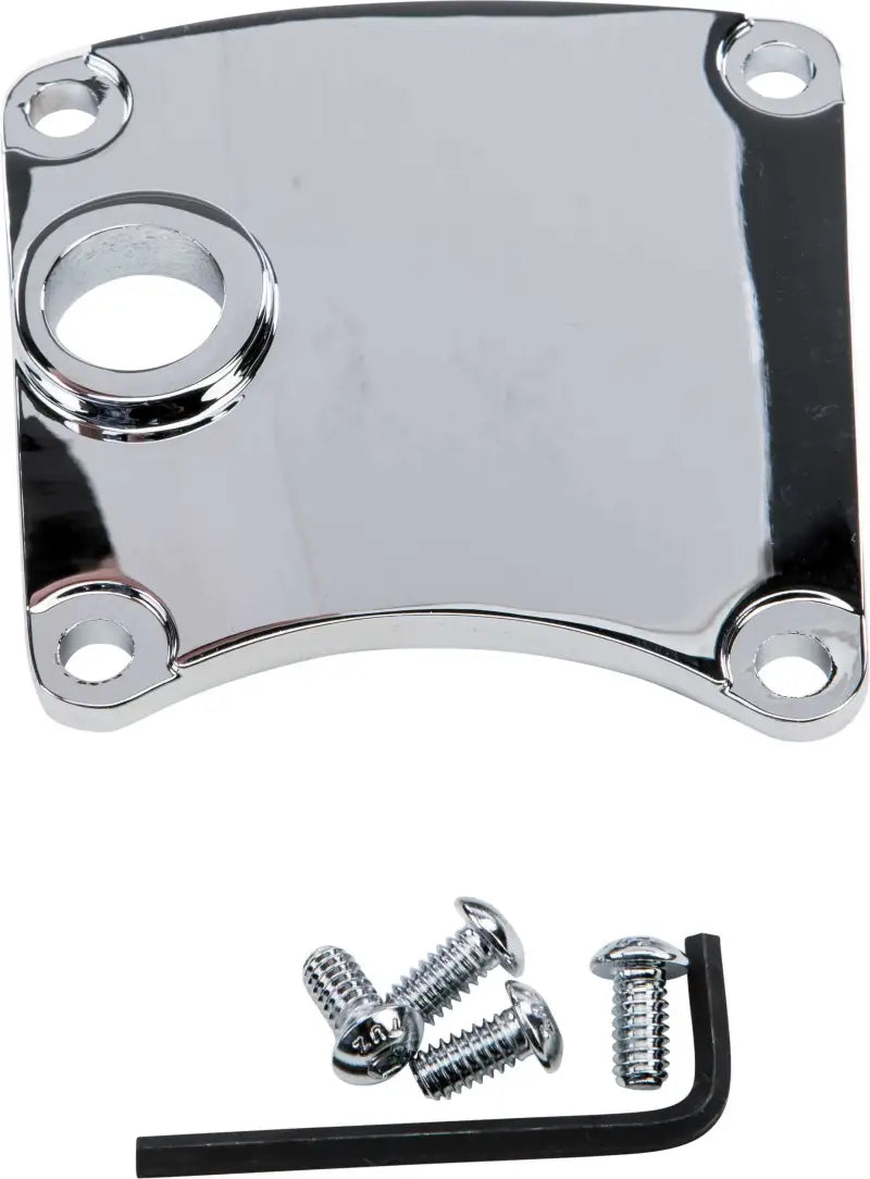 210245 Harddrive Inspection Cover W/Mid Controls Chrome wps-820-50808