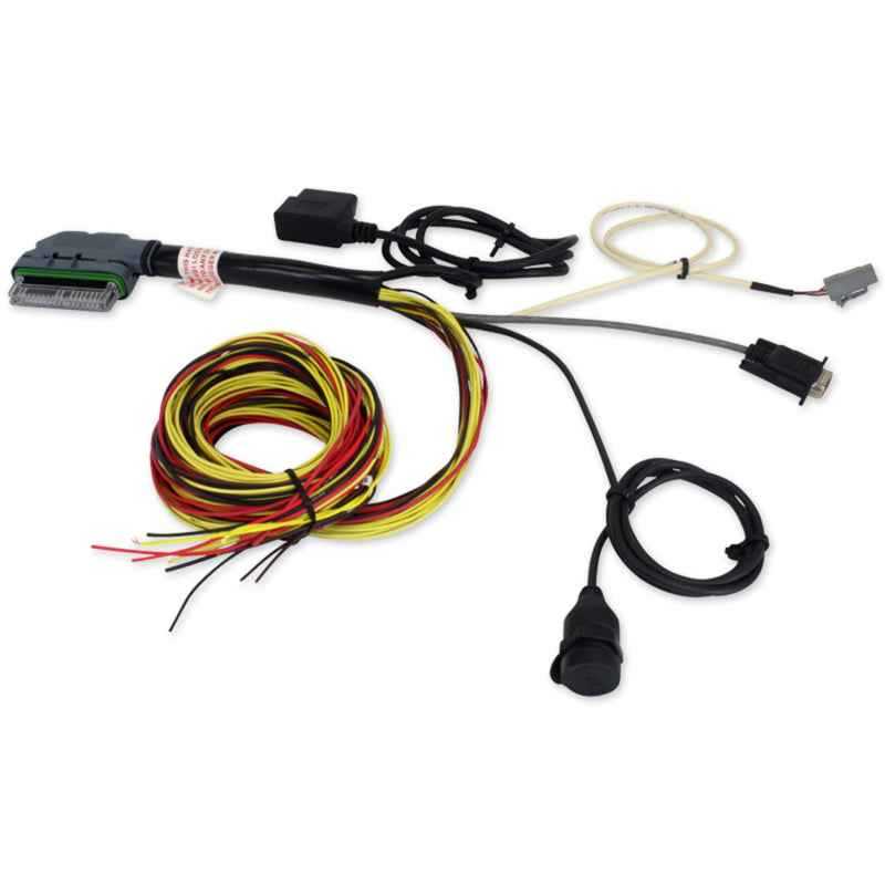 AEM AQ-1 OBD2 96in Flying Lead Wiring Harness 30-2907-96