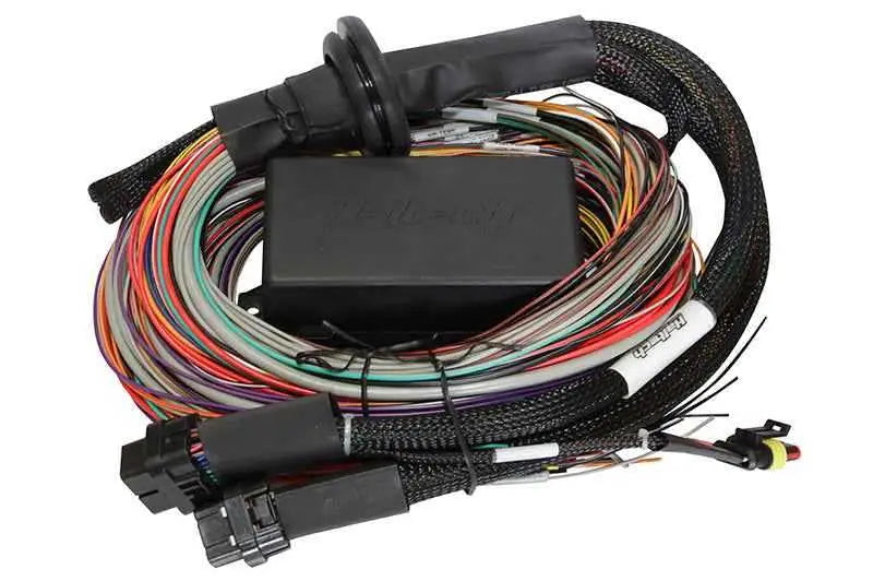 Haltech Elite 1500 8ft Premium Universal Wire-In Harness ht-140904