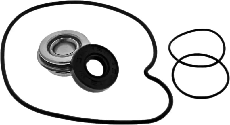 WPK0069 Water Pump Kit Pol wps-421-w0069